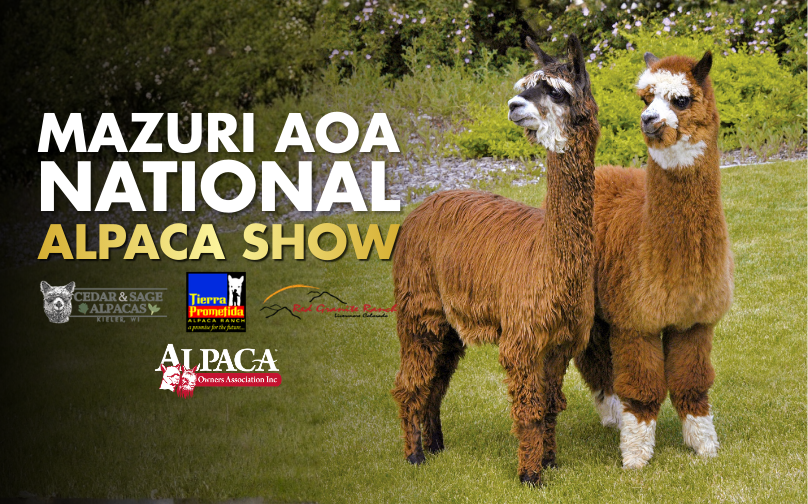 More Info for Alpaca Owners Association National Halter Show